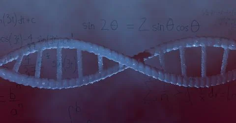 Image of dna rotating over math formulas on violet background Stock Photos