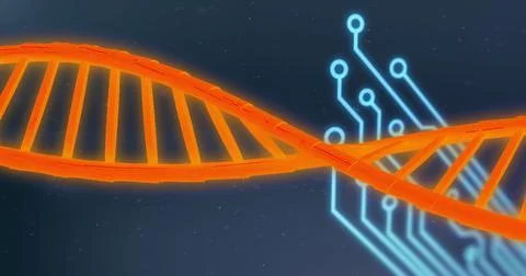 Image of dna stand over data processing and circuit board Foto stock