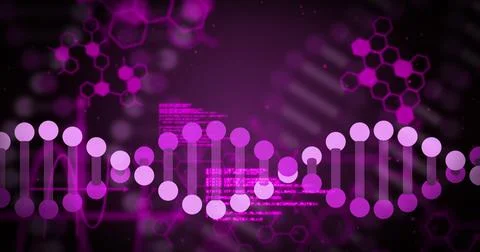 Image of dna strand and data processing on black background 库存插图