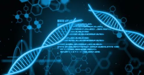 Image of dna strand and data processing on black background Stock Illustration