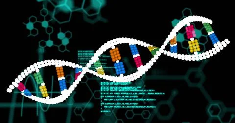 Image of dna strand and data processing on black background Illustrazione stock