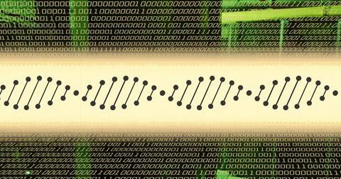 Image of dna strand and data processing over server room 스톡 일러스트