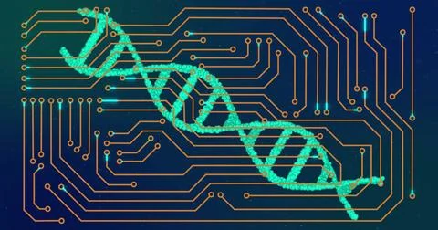 Image of dna strand and data processing over circuit board Stock Illustration