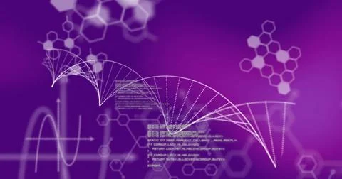 Image of dna strand and data processing over purple background Stock Illustration