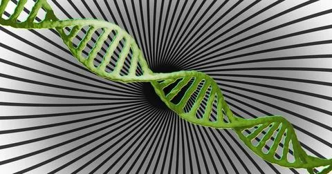 Image of dna strand and data processing over spinning stripes Illustration