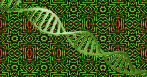 Image of dna strand and data processing over kaleidoscope Stock Illustration