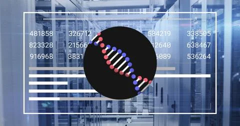 Image of dna strand and data processing over computer servers Foto stock