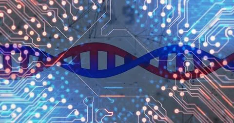 Image of dna strand and data processing over computer circuit board 스톡 사진