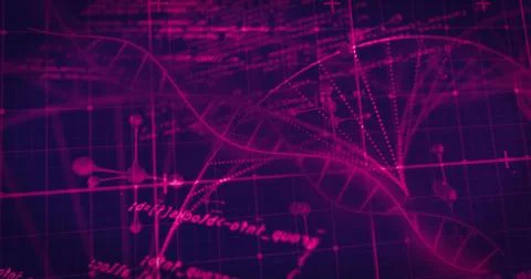 Image of dna strand and data processing on black background Foto stock