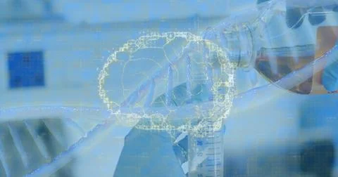 Image of dna strand and human brain over laboratory test tube Stock Photos