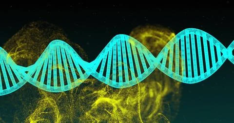 Image of dna strand and mesh of glowing mesh of connections on dark background Illustrazione stock