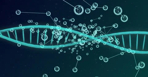Image of dna strand and network of connections with icons Stockillustratie
