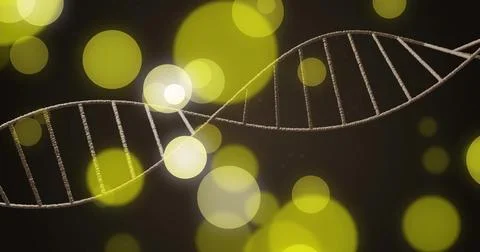 Image of dna strand and spots of light on dark background Stock Illustration