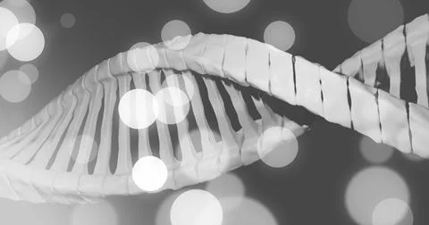 Image of dna strand and spots of light on dark background Stock Illustration
