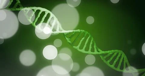 Image of dna strand and spots of light on dark background Stock Illustration