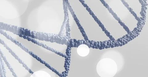 Image of dna strand and spots of light on grey background Illustrazione stock