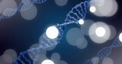 Image of dna strand and spots of light on dark background Stock Illustration