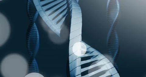 Image of dna strand and spots of light on dark background Stock Illustration