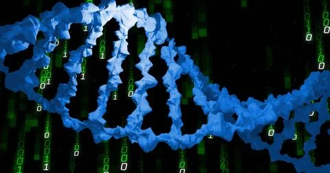 Image of dna strand, binary coding and data processing over black background Stock Illustration