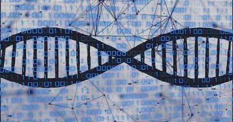 Image of dna strand with binary coding data processing over network of conn.. 스톡 사진