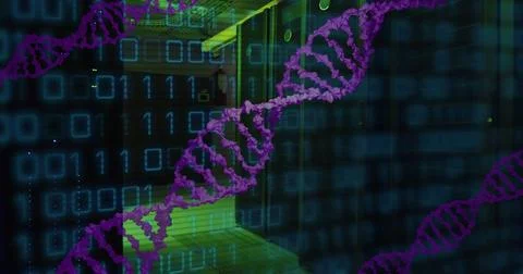Image of dna strand, binary coding and data processing over computer servers 写真素材