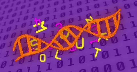 Image of dna strand, binary coding and data processing over purple background 库存照片