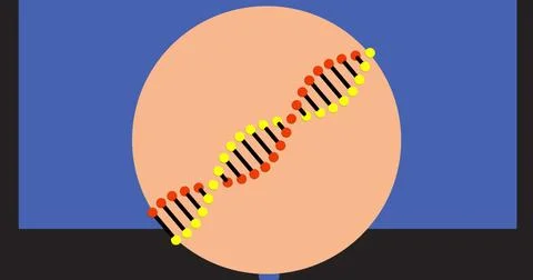 Image of dna strand on blue background Stock Illustration