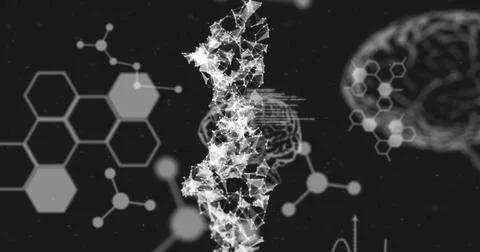 Image of dna strand, human brain, medical data processing and chemical compound Stock Illustration