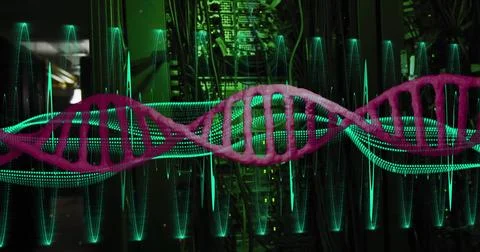Image of dna strand, light trails and data processing over dark background Stock Photos