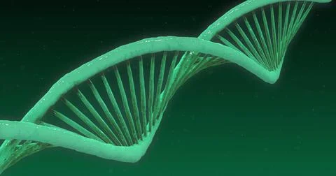 Image of dna strand over black background 스톡 일러스트