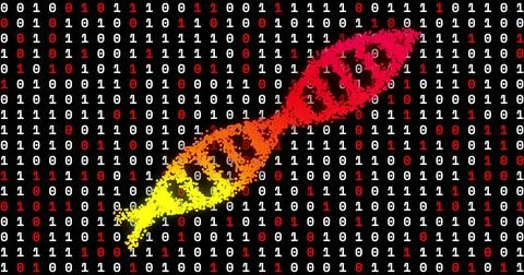 Image of dna strand over data processing on black background Stock Illustration