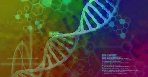 Image of dna strand over data processing Stock Illustration