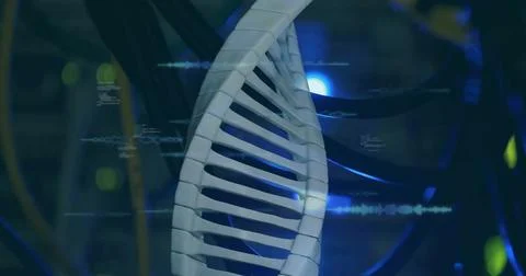 Image of dna strand over data processing and server room 스톡 일러스트