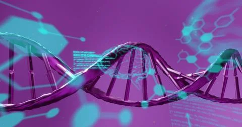 Image of dna strand over data processing Stock Illustration