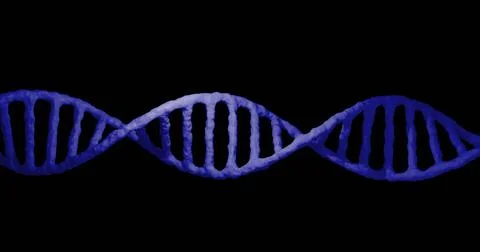 Image of dna strand over data processing on black background 写真素材