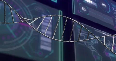 Image of dna strand over data processing on black background 写真素材