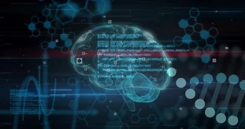 Image of dna strand over data processing and brain Foto stock
