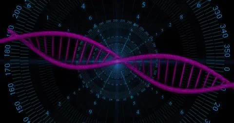 Image of dna strand over data processing on black background 写真素材