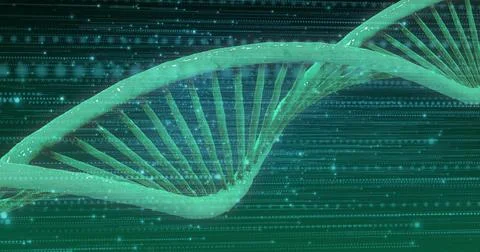 Image of dna strand over data processing on green background 스톡 사진