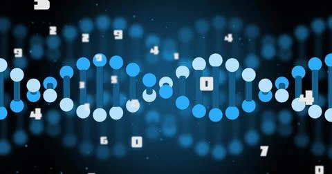 Image of dna strand over data processing on black background 写真素材
