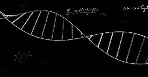 Image of dna strand over mathematical equations Stock Illustration