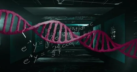 Image of dna strand over mathematical equations Stock Illustration