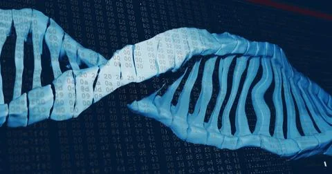 Image of dna strand over processing data on dark background 스톡 사진