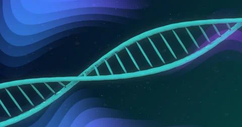 Image of dna strand over purple shapes Stock Illustration