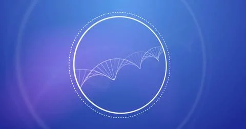Image of dna strand over white circles Stock Illustration