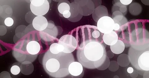 Image of dna strand over white spots moving Ilustração Stock