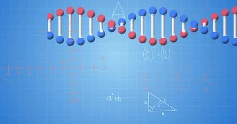 Image of dna strand spinning, data processing and mathematical equations Stock Illustration