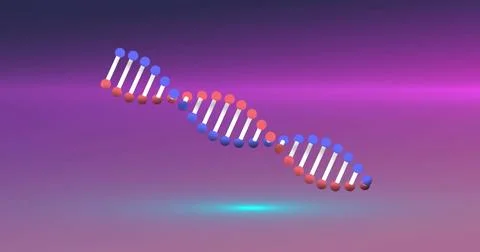 Image of dna strand spinning over glowing neon background Stock Illustration