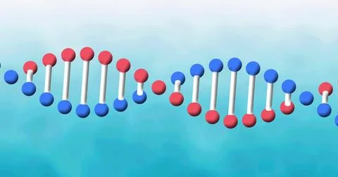 Image of dna strand spinning over blue background 스톡 일러스트