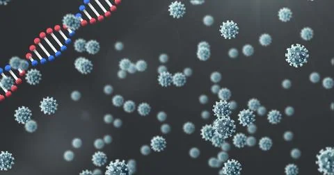 Image of dna strand spinning over covid 19 cells falling on dark background Ilustração Stock